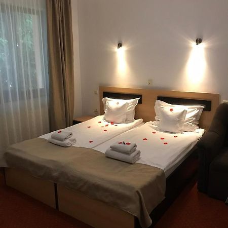 Flora Alpina Otel Azuga Dış mekan fotoğraf