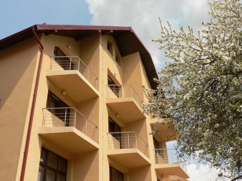 Flora Alpina Otel Azuga Dış mekan fotoğraf