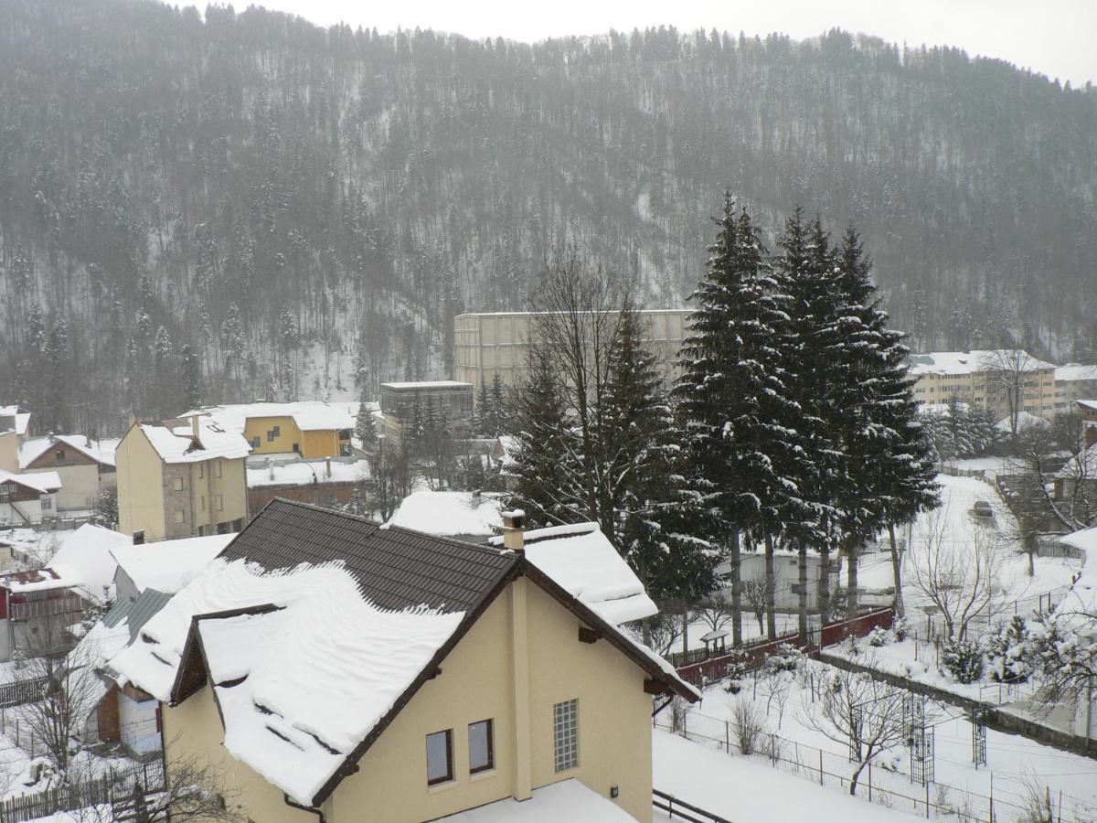 Flora Alpina Otel Azuga Dış mekan fotoğraf