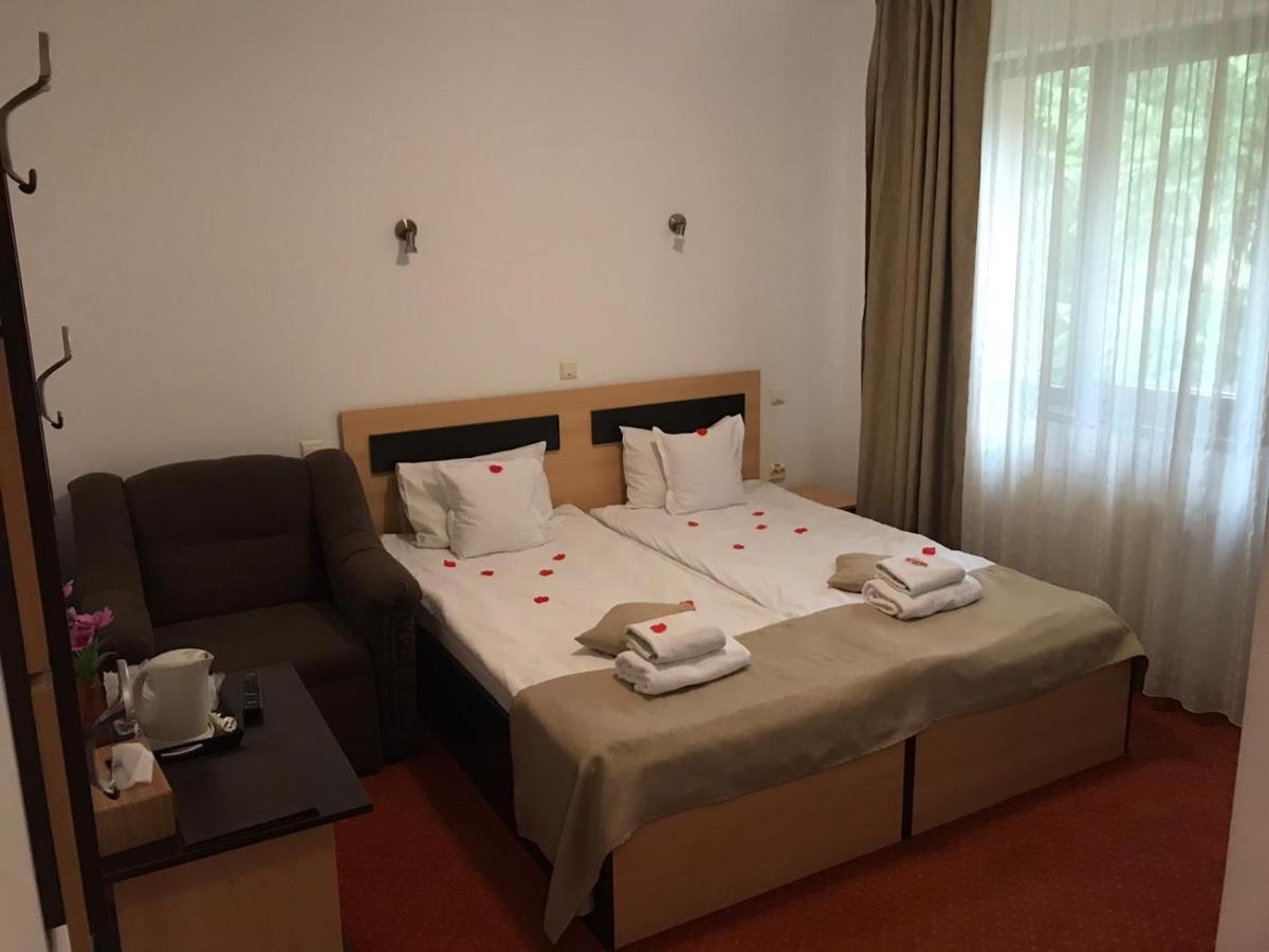 Flora Alpina Otel Azuga Dış mekan fotoğraf